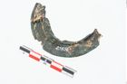 Foto von Bronzephalere (NHMW-PRAE-025856)